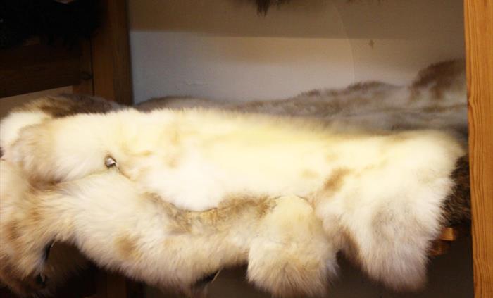 Rare Breeds sheepskins